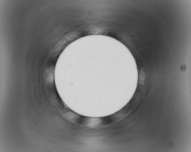 X0000113930719200911061219