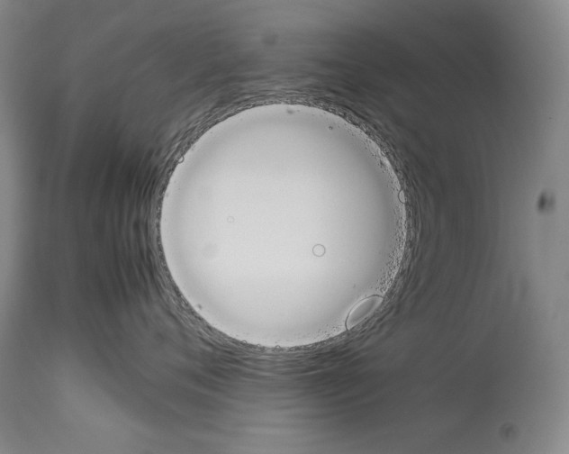 X0000113930720200911061219