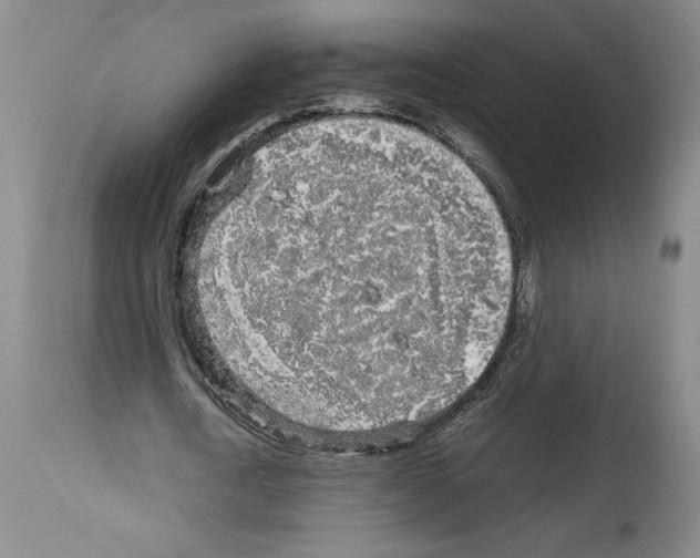 X0000113930722200911061218