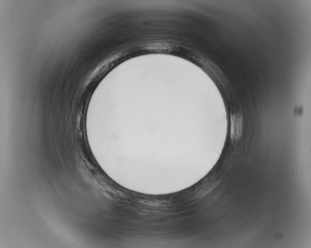 X0000113930723200911061218