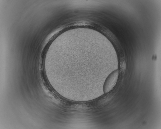 X0000113930724200911061218