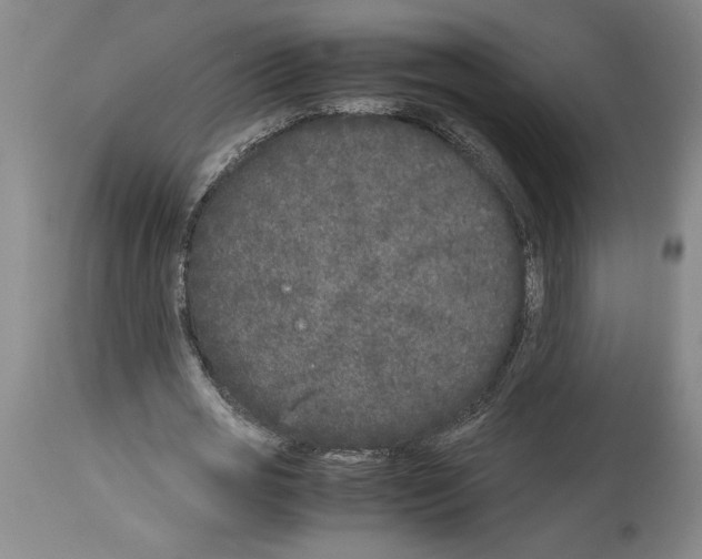 X0000113930725200911061218