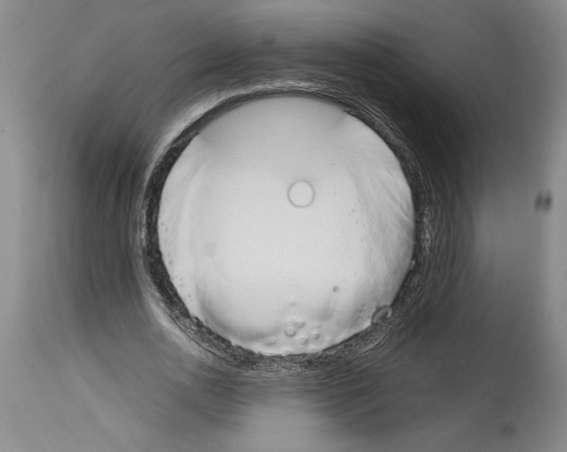 X0000113930726200911061218