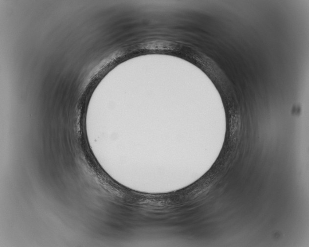 X0000113930727200911061218