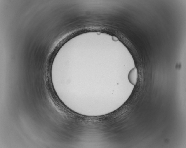 X0000113930728200911061218