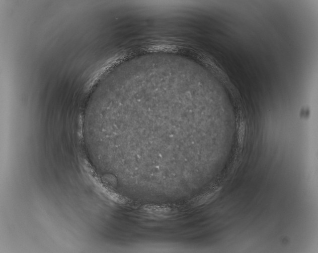 X0000113930729200911061218