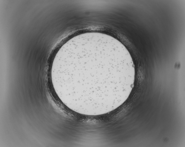 X0000113930730200911061218