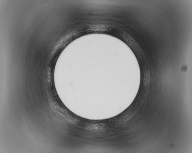 X0000113930731200911061218