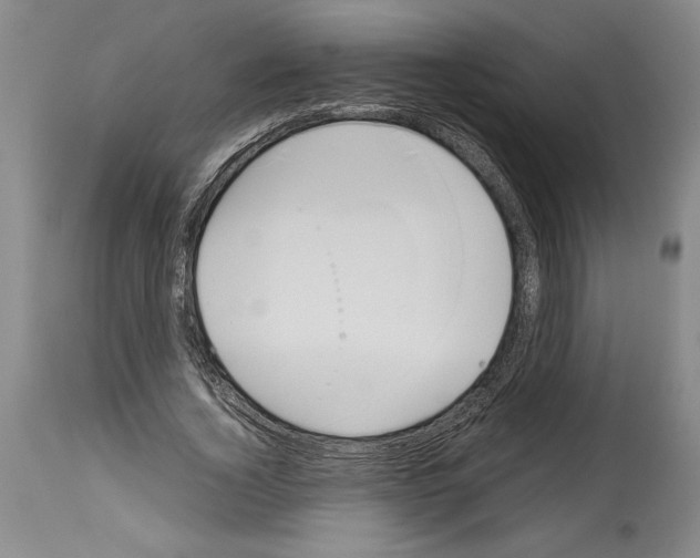 X0000113930732200911061218