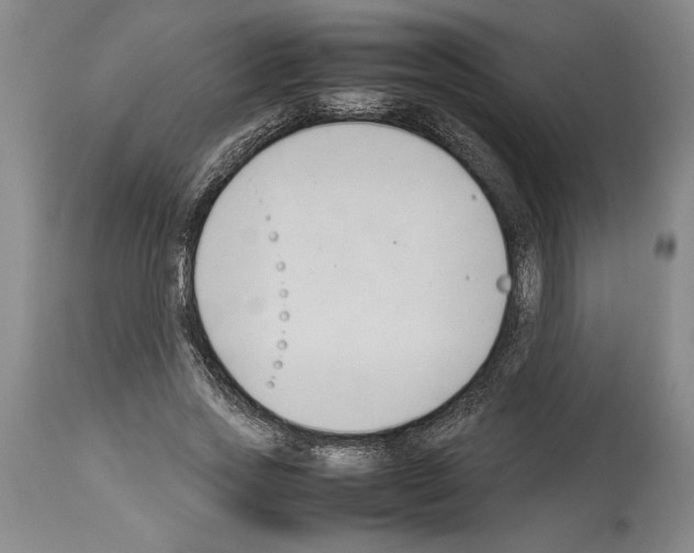 X0000113930733200911061218