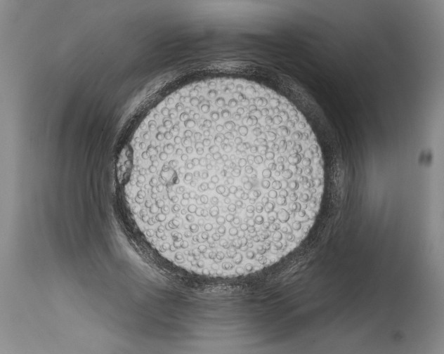 X0000113930734200911061218