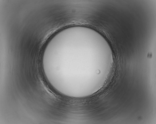 X0000113930736200911061218