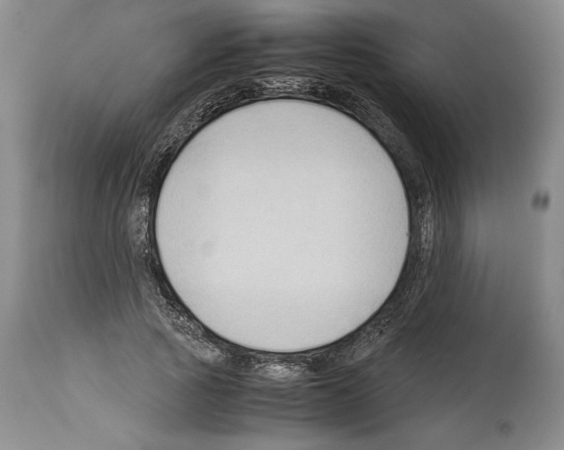 X0000113930737200911061218