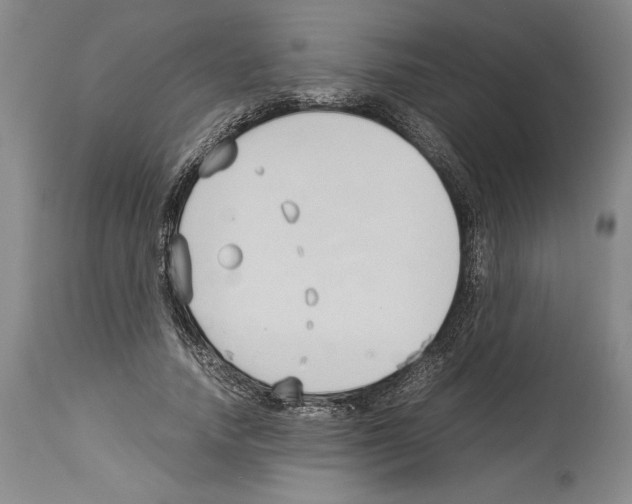 X0000113930738200911061218