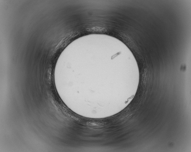 X0000113930739200911061218