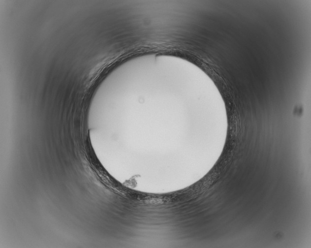 X0000113930740200911061218