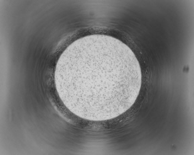 X0000113930742200911061218