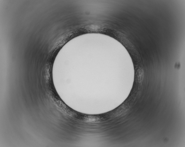 X0000113930746200911061218