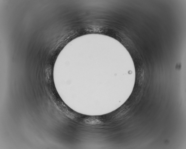 X0000113930747200911061218