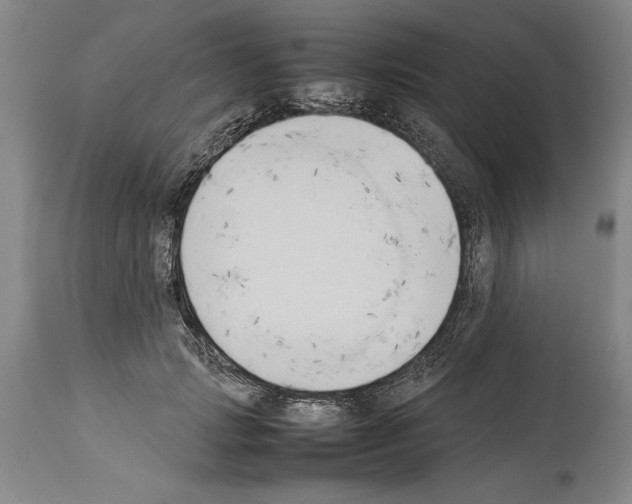 X0000113930749200911061218