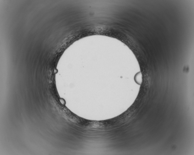 X0000113930750200911061218