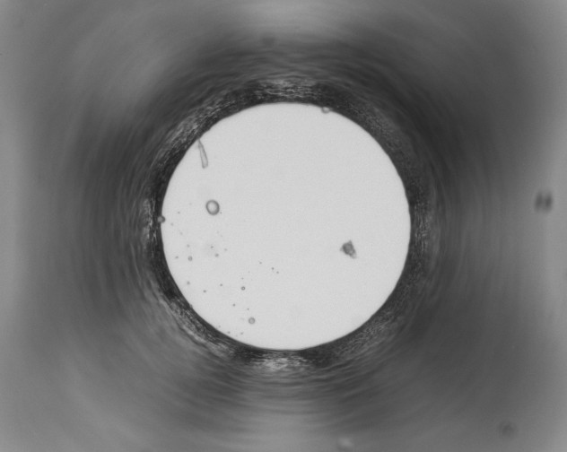 X0000113930752200911061218