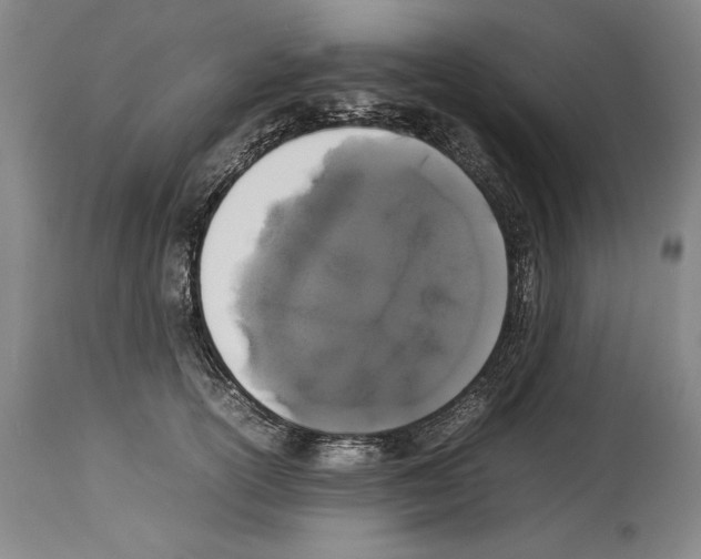 X0000113930754200911061218