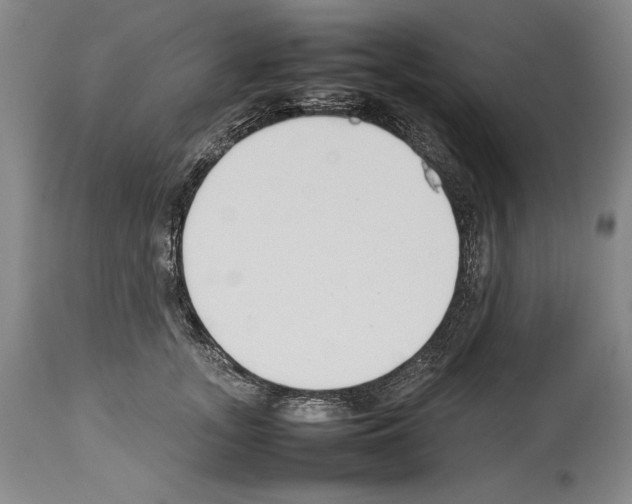 X0000113930755200911061219