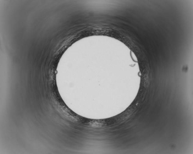 X0000113930756200911061219