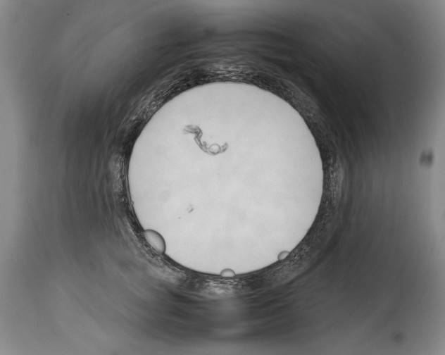 X0000113930757200911061219