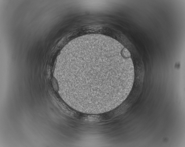 X0000113930758200911061219