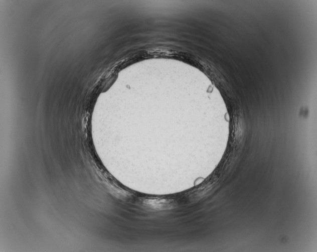 X0000113930759200911061219