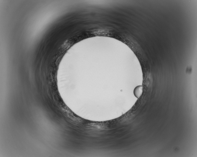X0000113930763200911061219