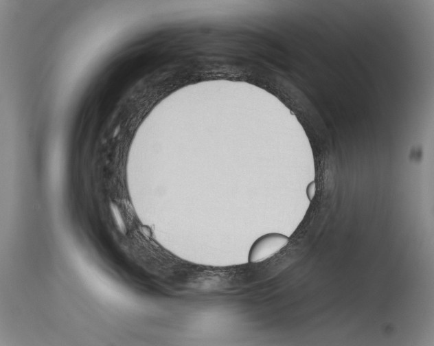 X0000113930764200911061219