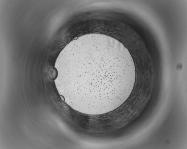 X0000113930766200911061219