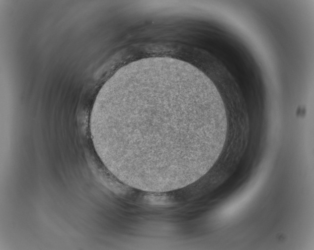 X0000113930767200911061219