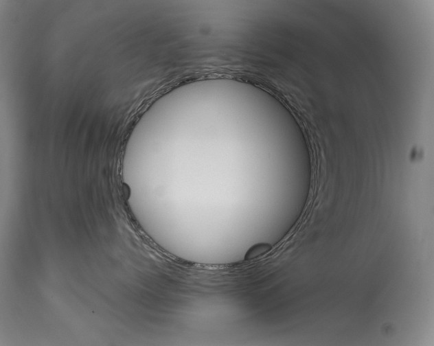 X0000113930768200911061219