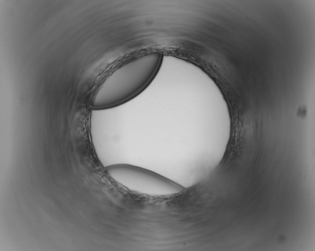 X0000113930773200911061218
