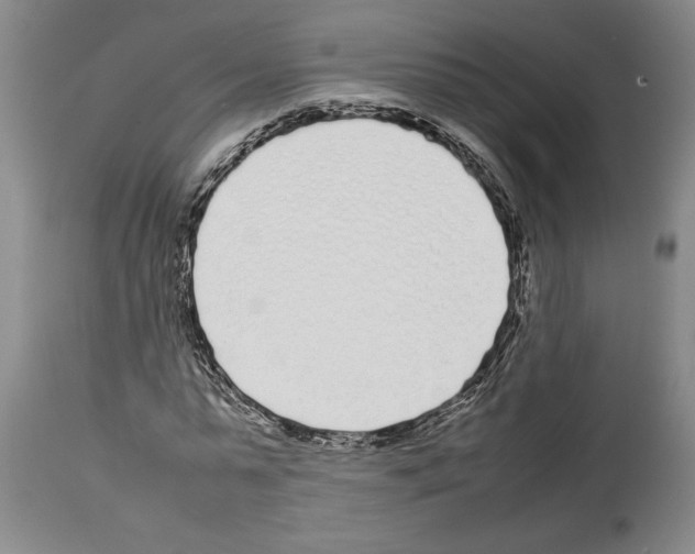 X0000113930775200911061218