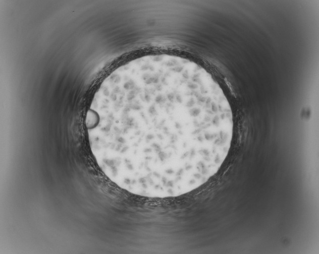 X0000113930776200911061218