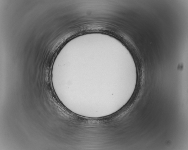 X0000113930777200911061218