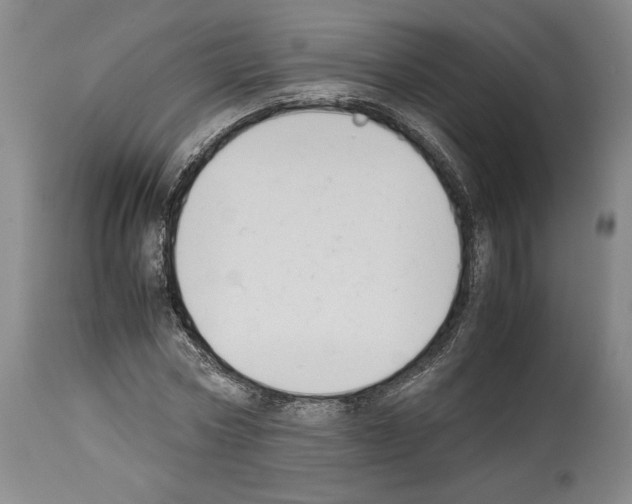 X0000113930778200911061218