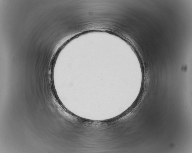 X0000113930779200911061218