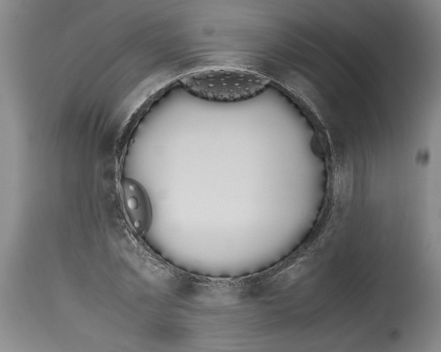 X0000113930781200911061218