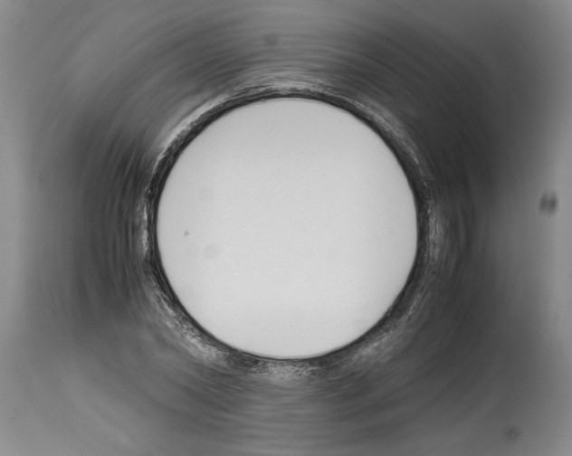 X0000113930782200911061218