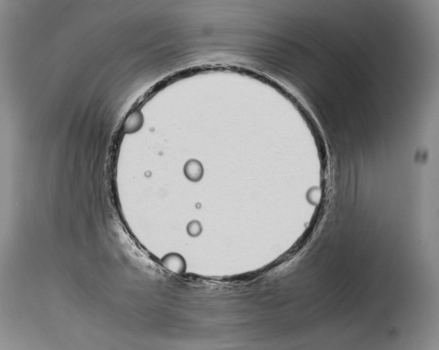 X0000113930783200911061218
