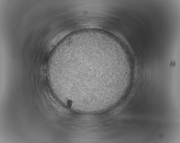 X0000113930785200911061218