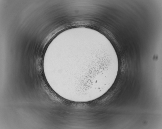 X0000113930786200911061218