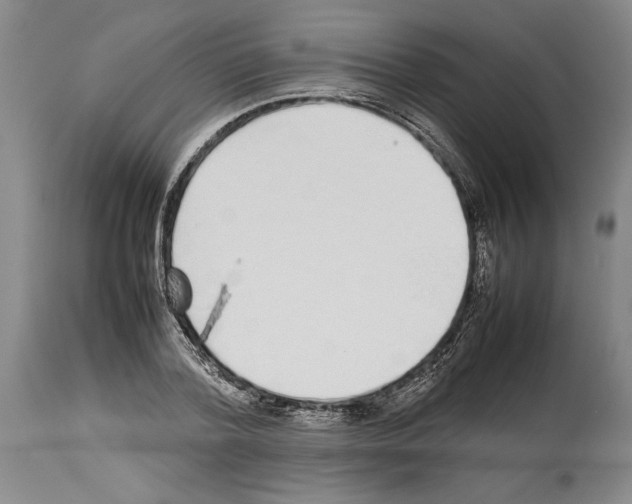 X0000113930788200911061218