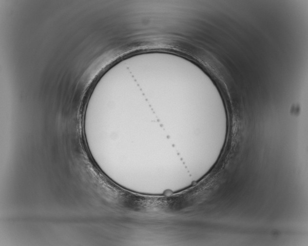 X0000113930789200911061218